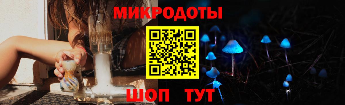 Псилоцибиновые грибы мицелий  где продают наркотики  Свободный  Вход с VPN 